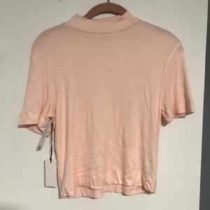 Blush Mock Neck Rubbed Crop Top - Aritzia